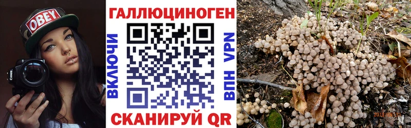 Галлюциногенные грибы Psilocybe  Эртиль 